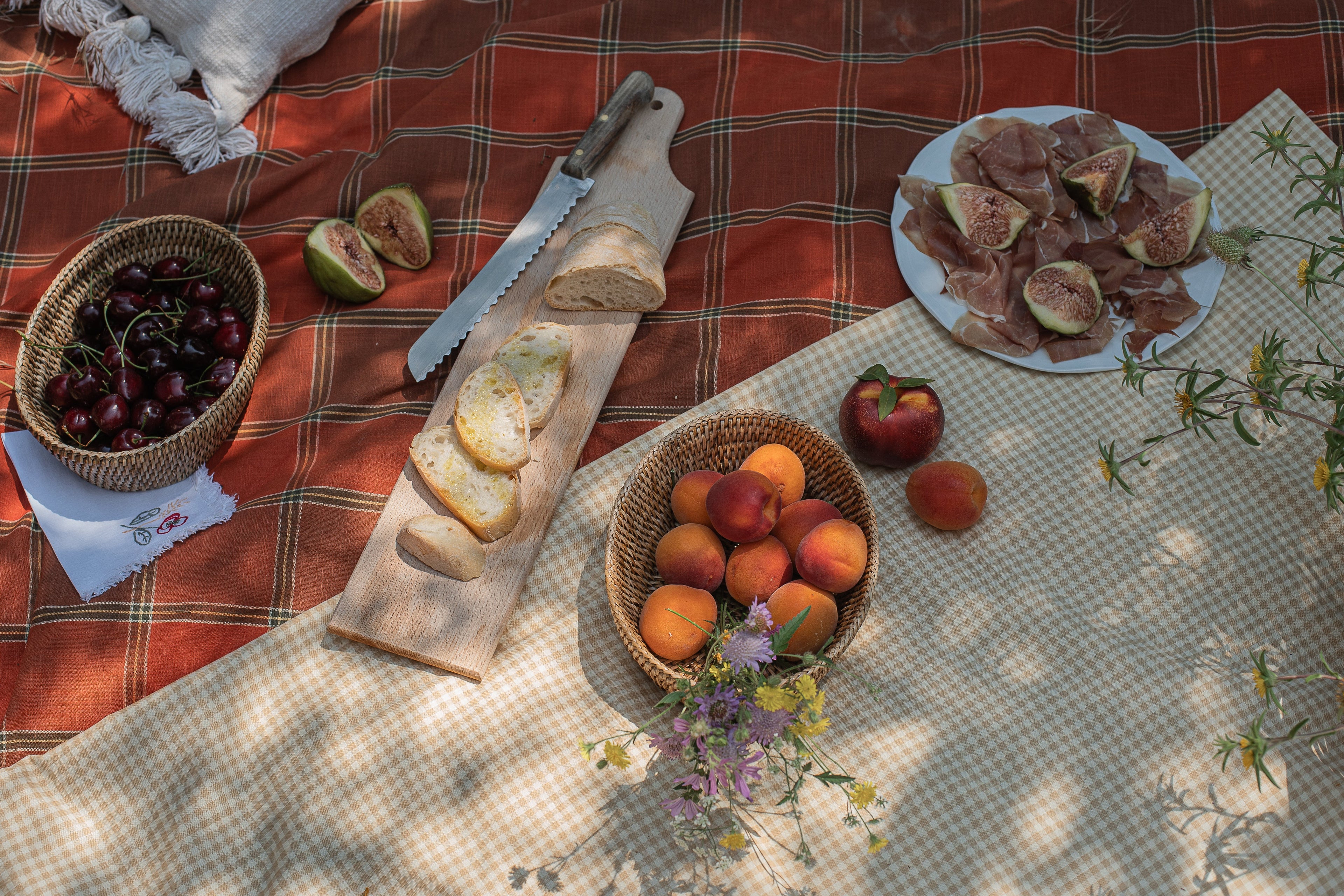 Casa di Noelia - Degustazione di vino e visita "ALLA SCOPERTA DI UN LUOGO UNICO" Emilia Romagna Casa di Noelia