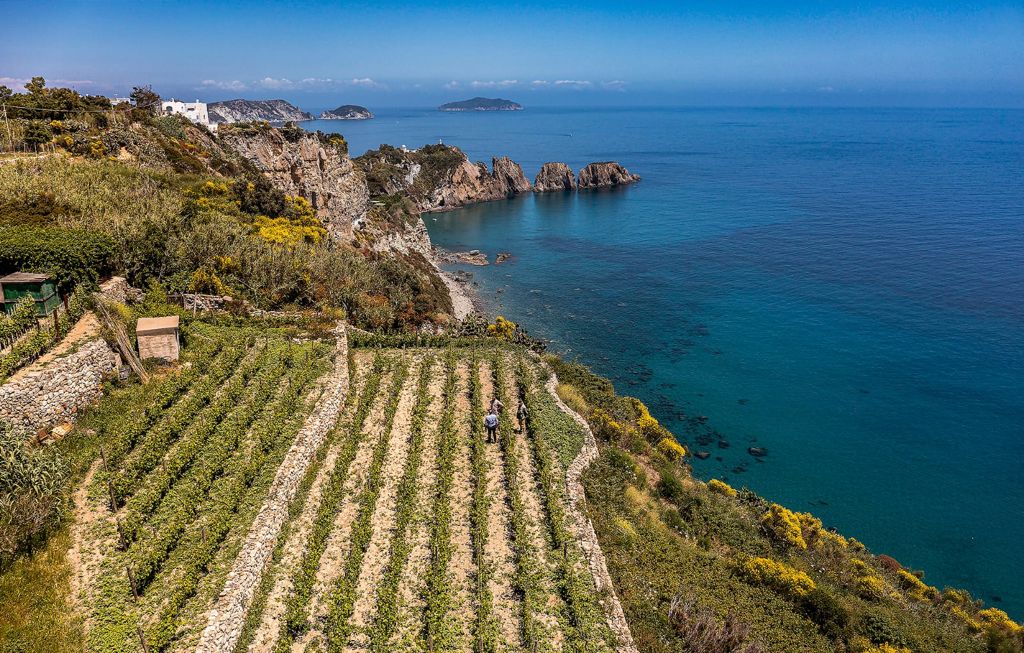 Casale del Giglio - Degustazione vino Classica Lazio Casale del Giglio