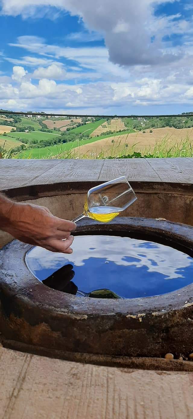 Tenuta San Marcello - “Tanta voglia di conoscere” Marche Tenuta San Marcello
