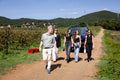 Tenuta Montauto - Light tasting Toscana Tenuta Montauto