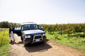 Tenuta Montauto - Country Tasting Toscana Tenuta Montauto