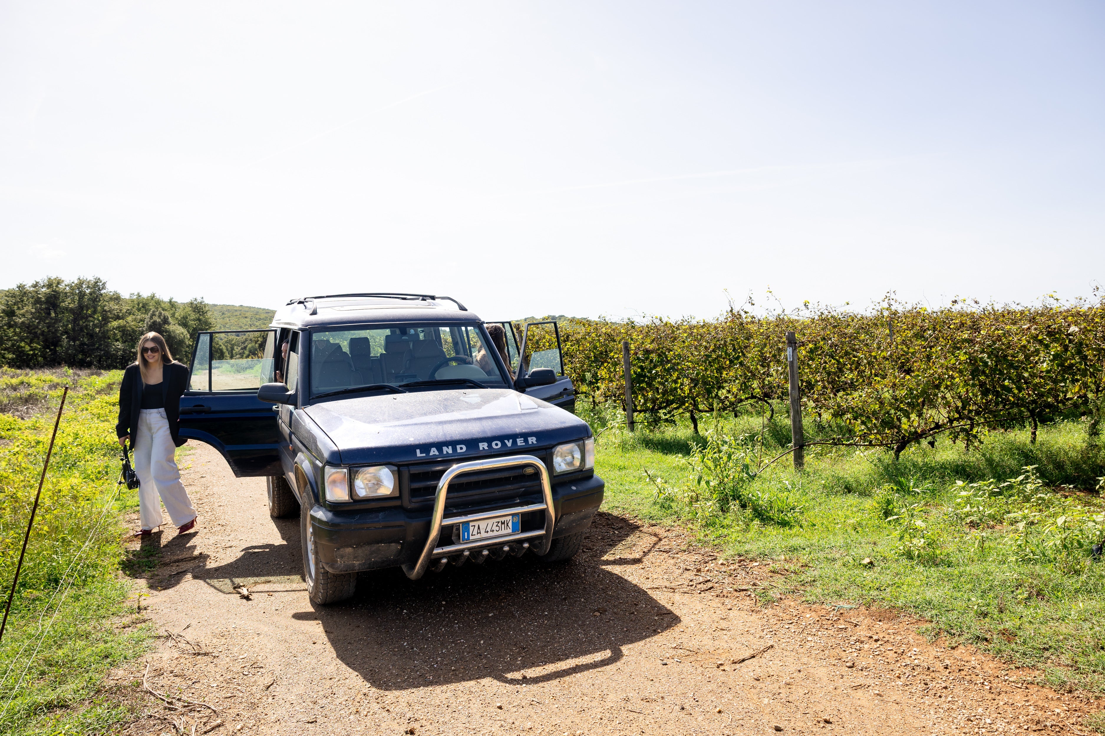 Tenuta Montauto - Light tasting Toscana Tenuta Montauto