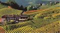 Tenuta PianPolvere - Degustazione 7 vini in Barolo Piemonte Tenuta PianPolvere