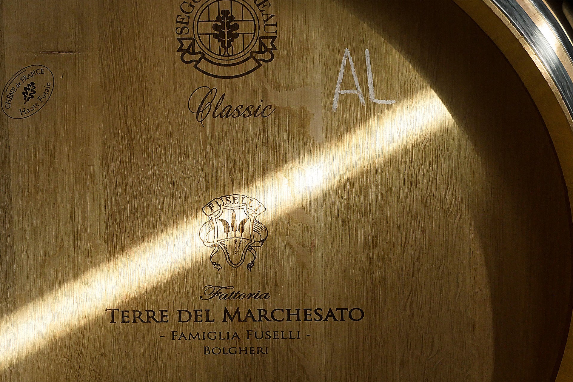 Terre del Marchesato - Degustazione PREMIUM Toscana Terre del Marchesato