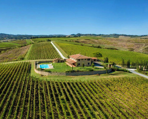 Badia di Morrona - Visita + Pranzo con Degustazione Toscana Badia di Morrona