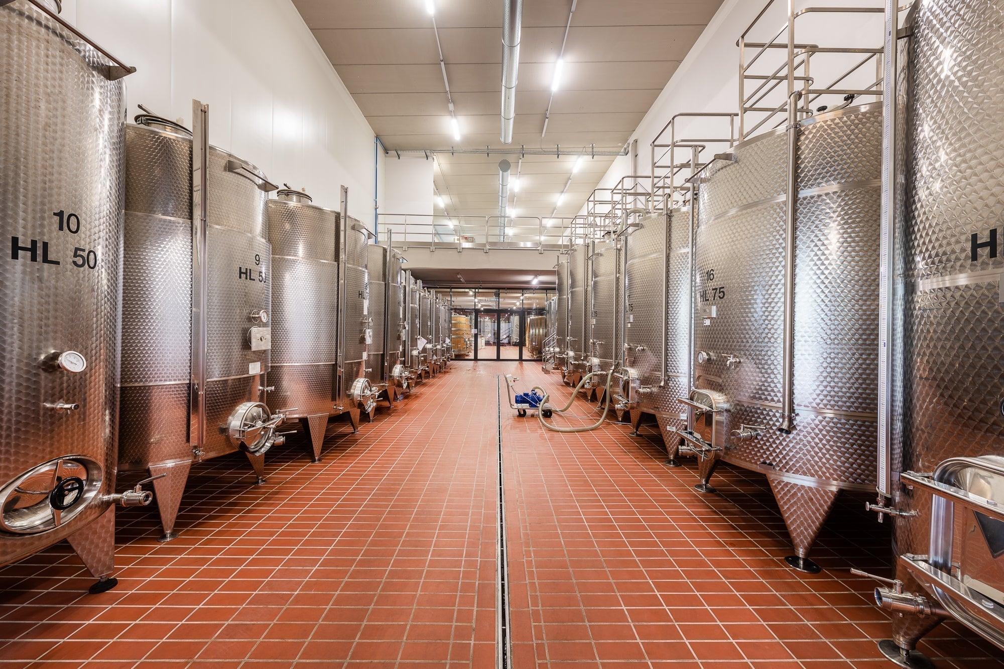 Cantina Moscone - Degustazione Il Monsù Piemonte Cantina Moscone