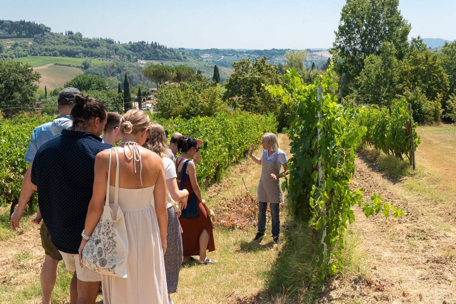 Tenuta Guardastelle - Mini wine tour Toscana Tenuta Guardastelle