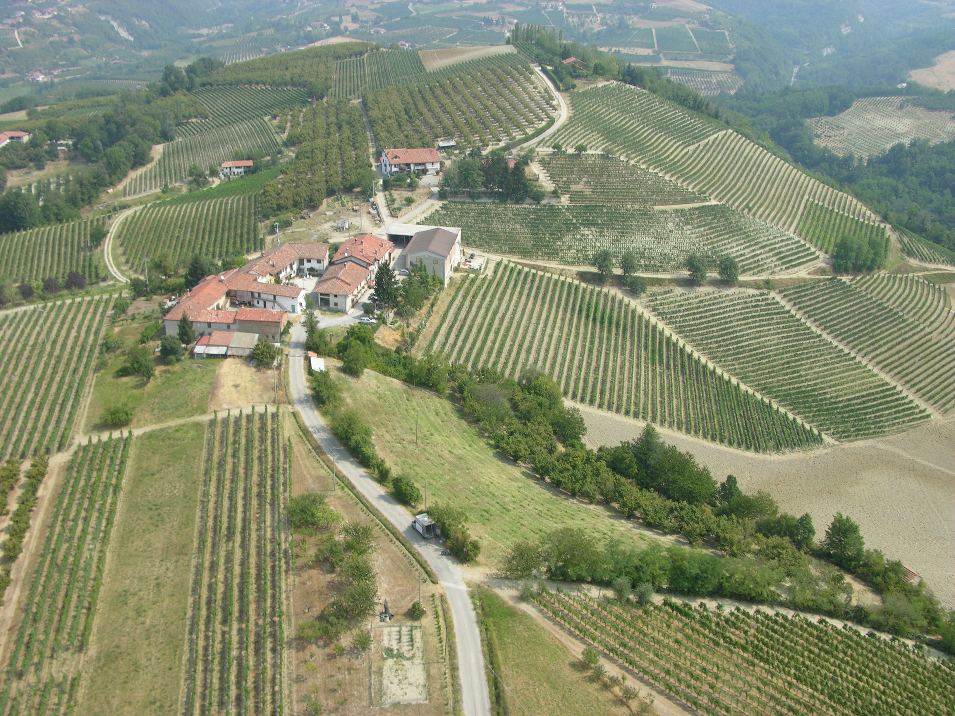 Aldo Marenco - Aperitivo in Cantina Piemonte Aldo Marenco