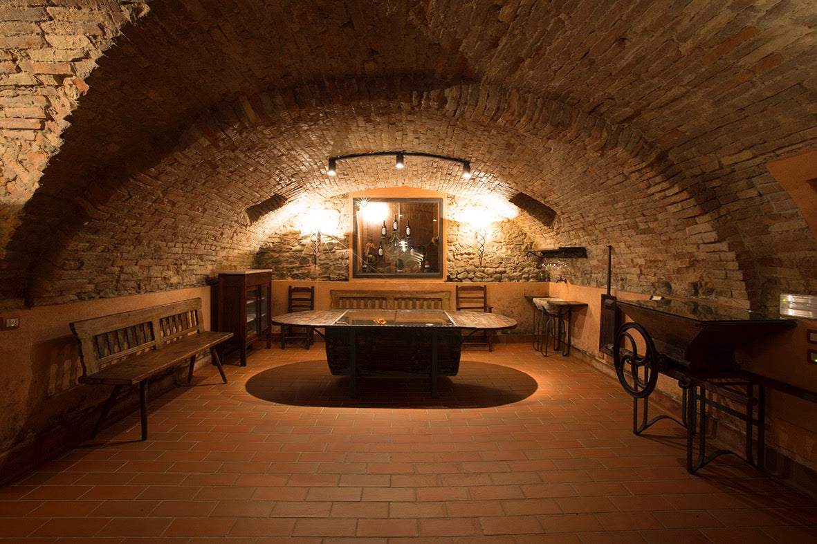 Casa di Noelia - Degustazione di vino e visita "ALLA SCOPERTA DI UN LUOGO UNICO" Emilia Romagna Casa di Noelia