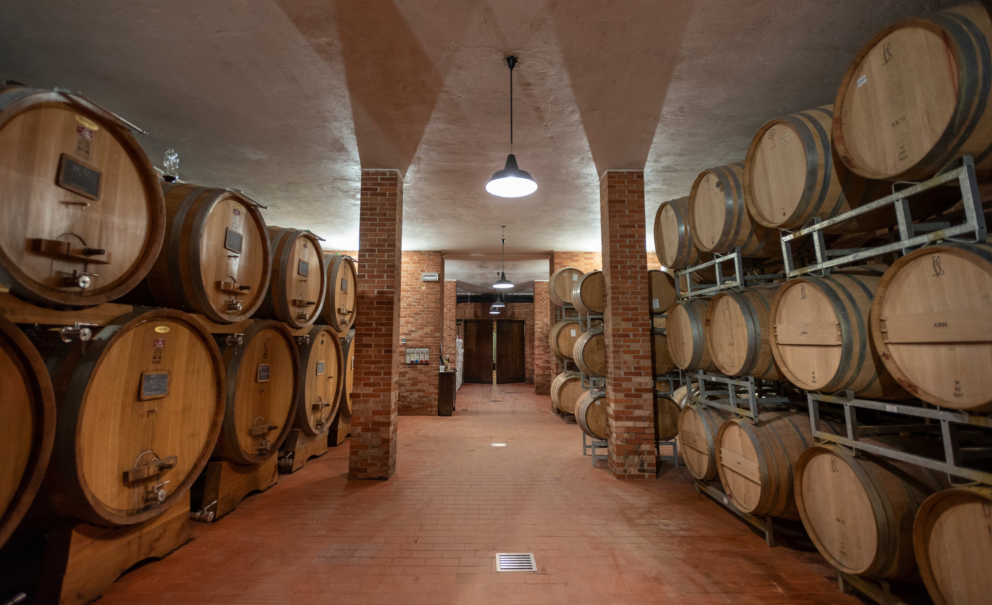 Dosio Vigneti - Picnic in vigna Piemonte Dosio Vigneti