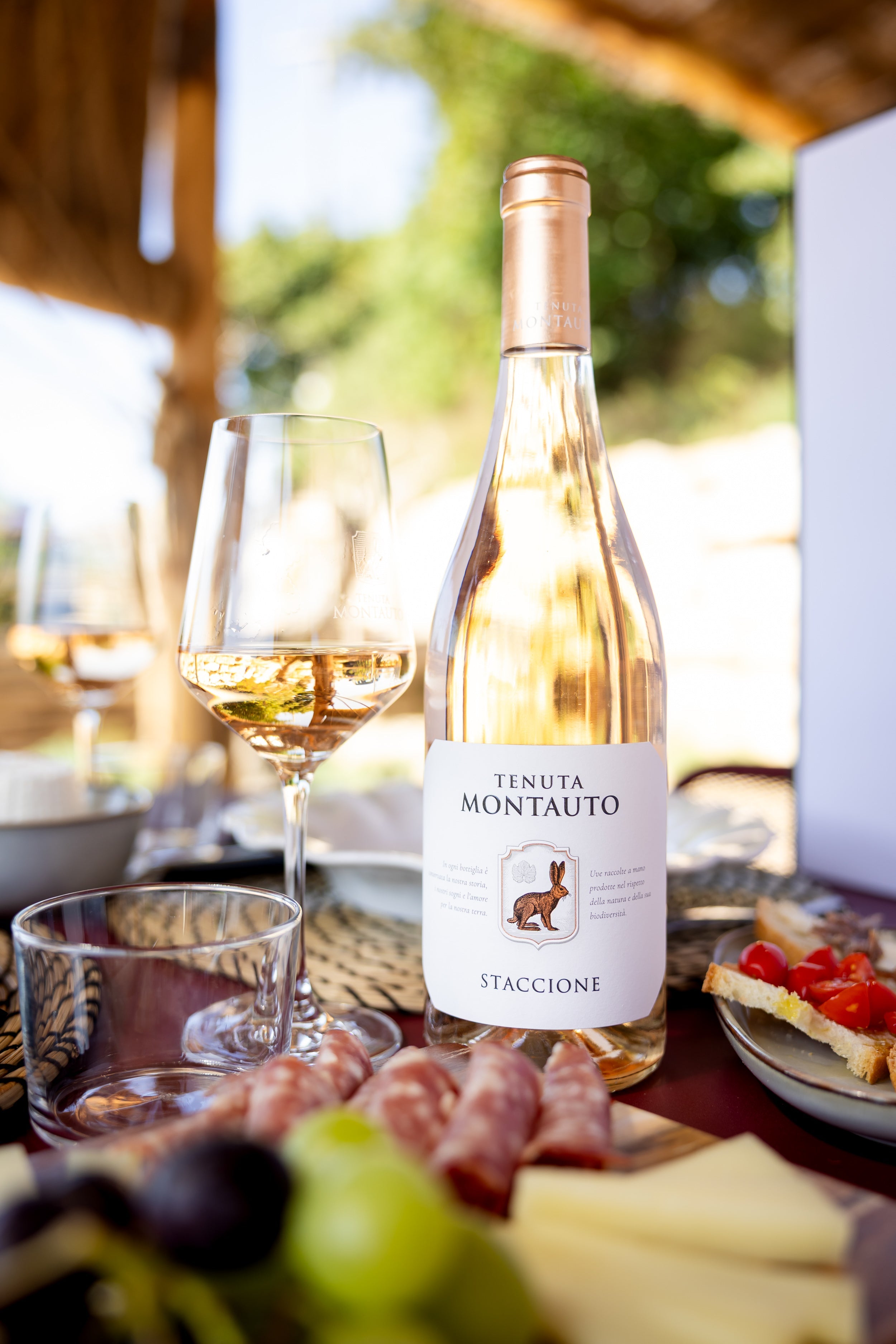 Tenuta Montauto - Light tasting Toscana Tenuta Montauto