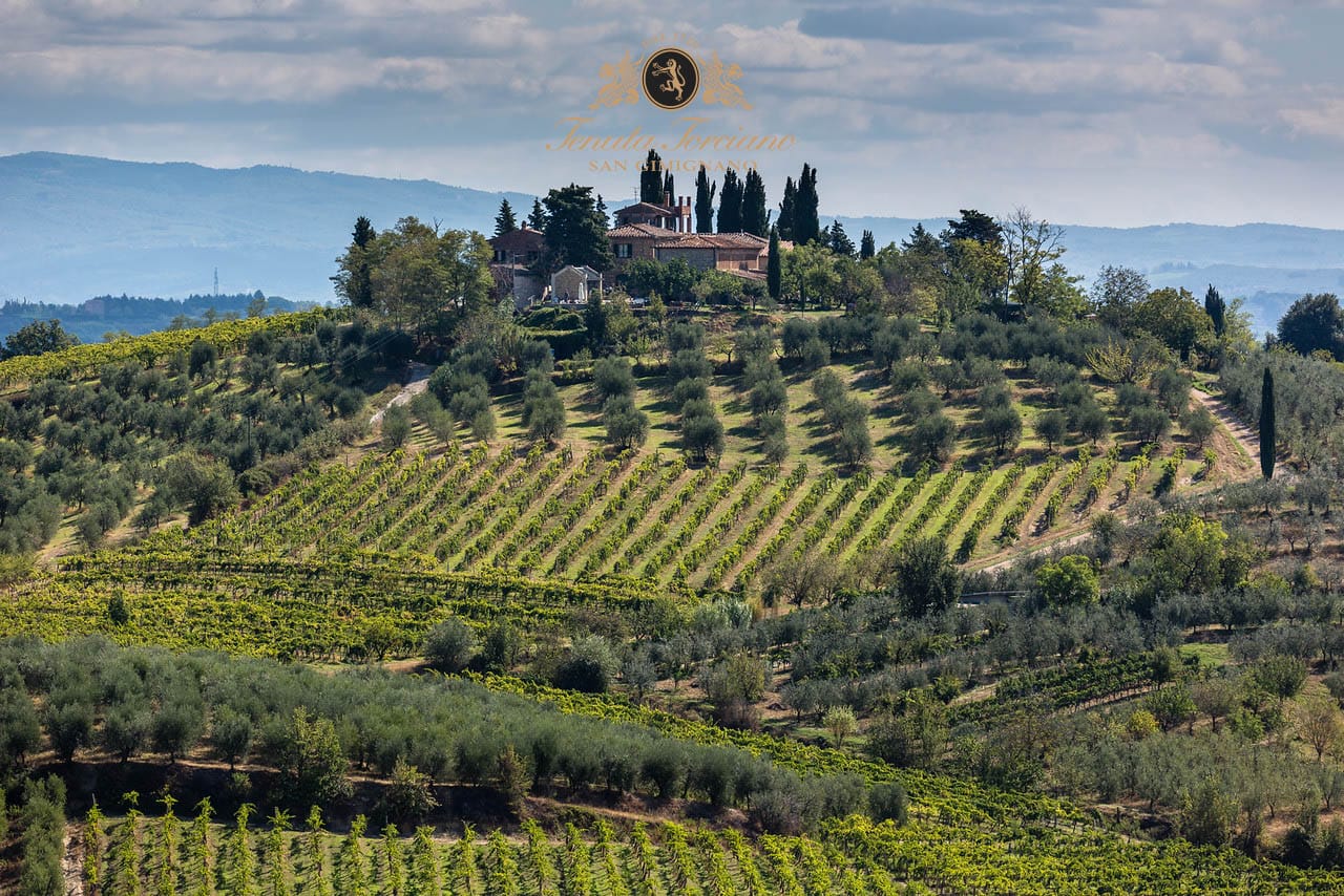 Torciano Winery - Soggiorno & Cena Toscana Torciano Winery
