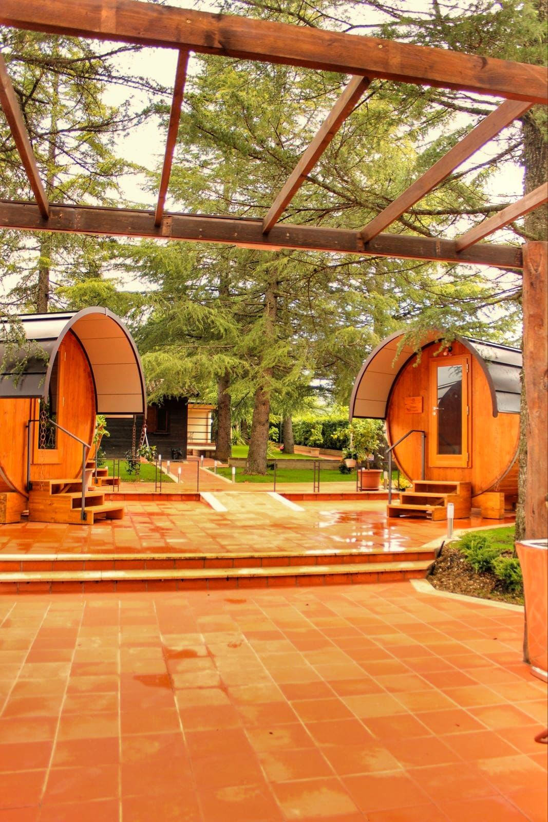 Cantina Le Macchie - Wine Luxury Experience Lazio Cantina Le Macchie