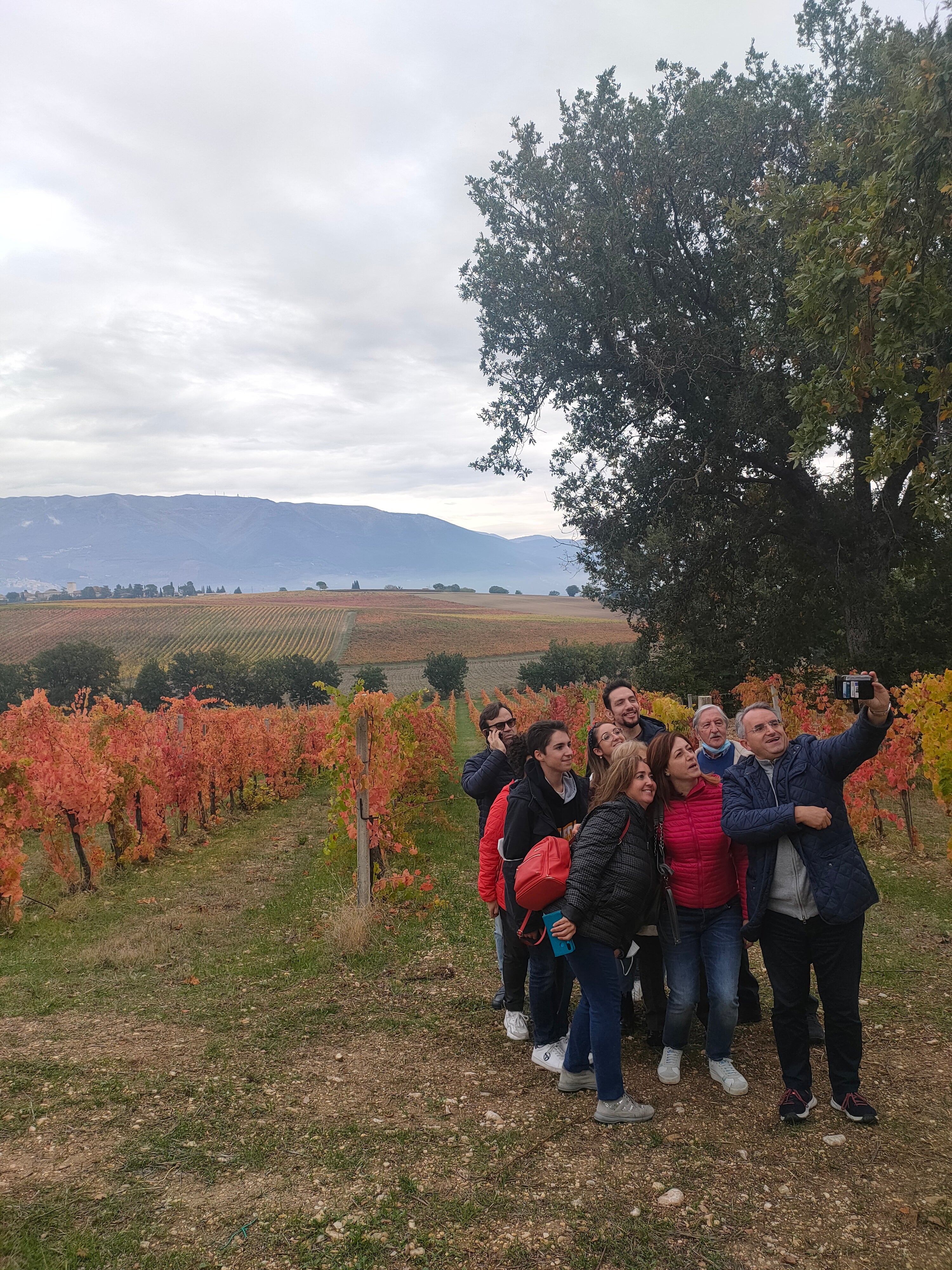 Cantina Napolini - Degustazione Completa Umbria Cantina Napolini