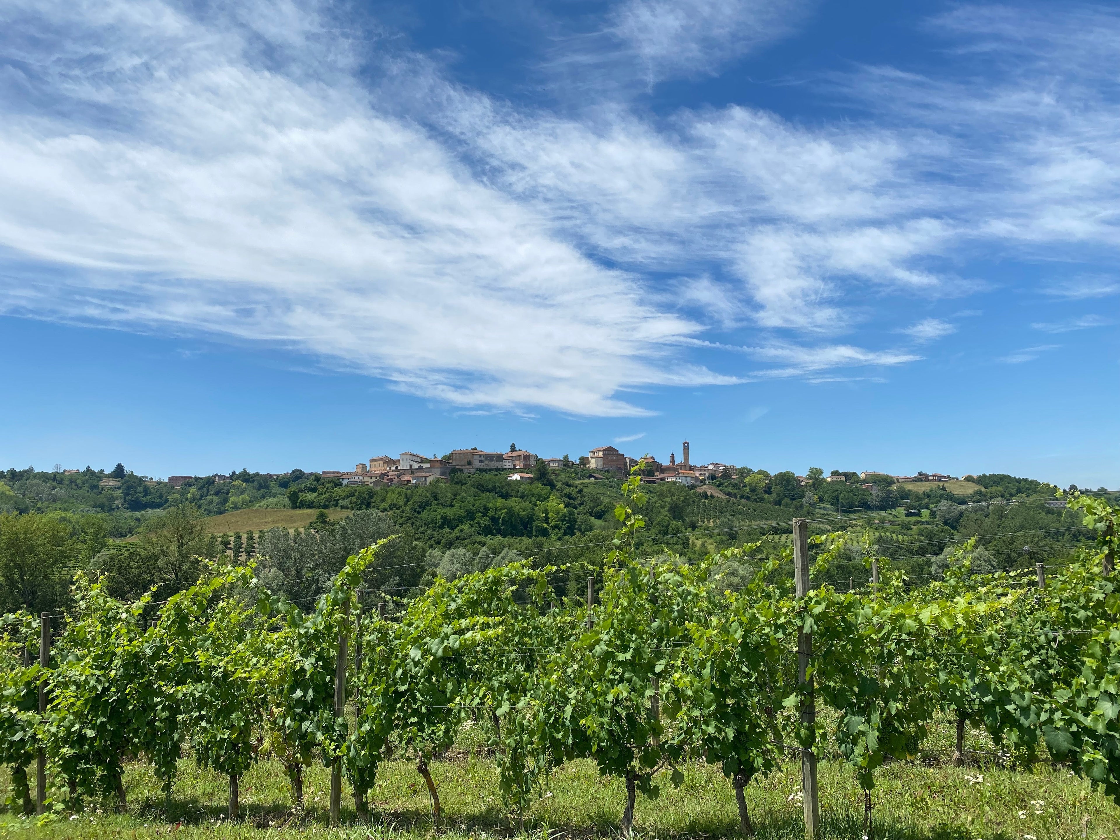 La Mondianese - Top Experience Piemonte La Mondianese