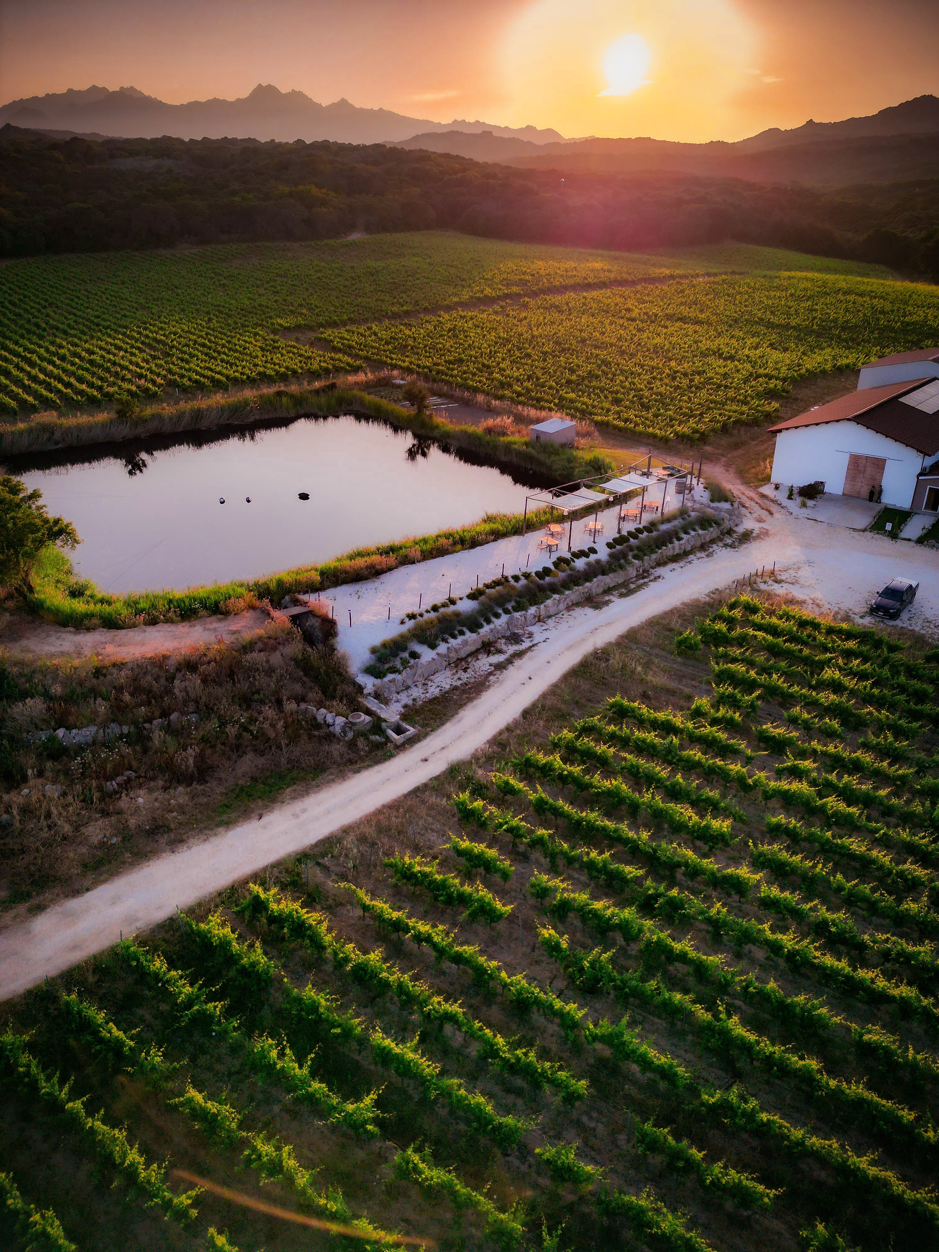 Tenute Gregu - Signature Plus Wine Tasting Sardegna Tenute Gregu
