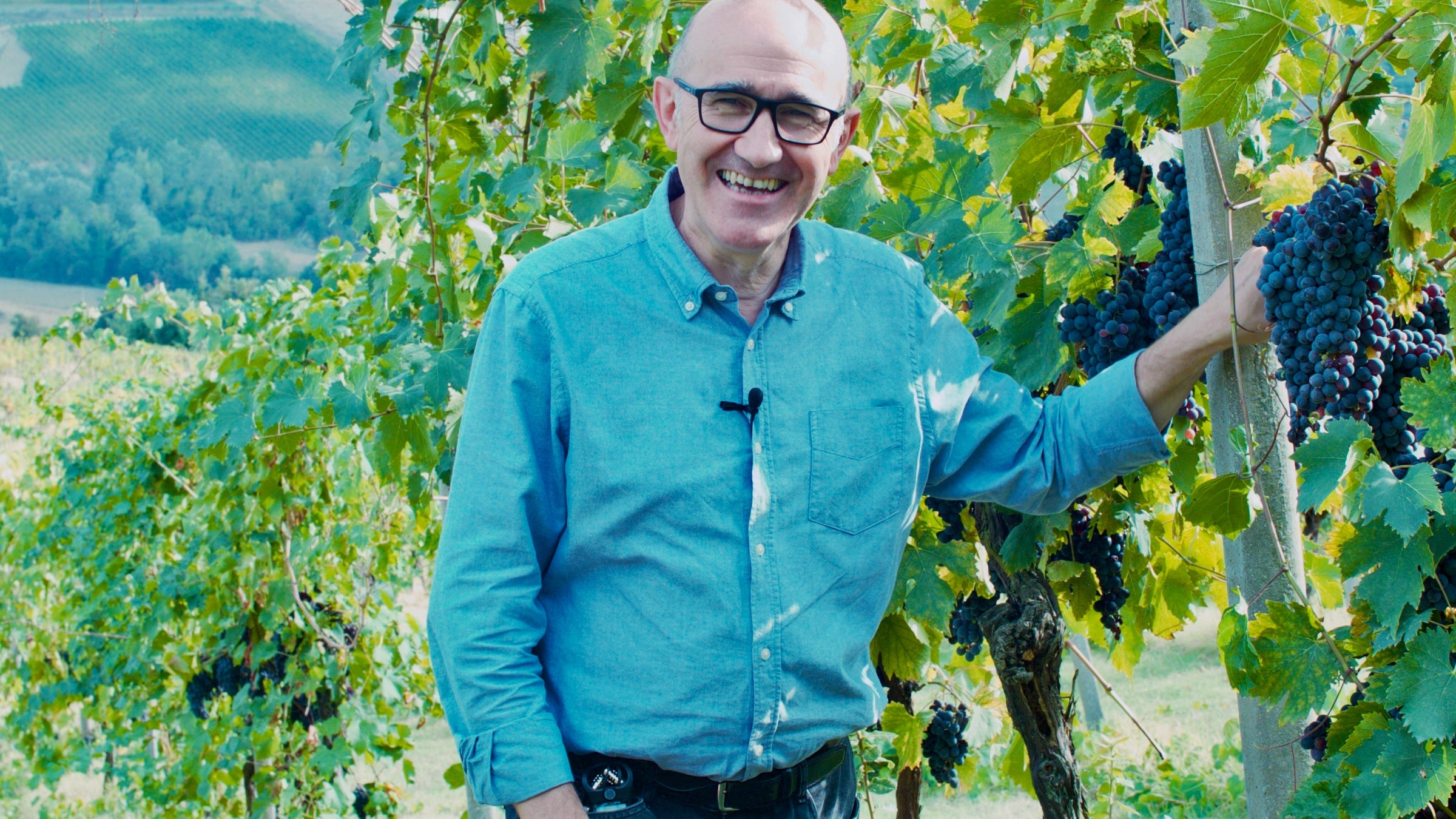 Assirelli vini - Degustazione Tradizionale nelle Colline Bolognesi Emilia Romagna Assirelli vini