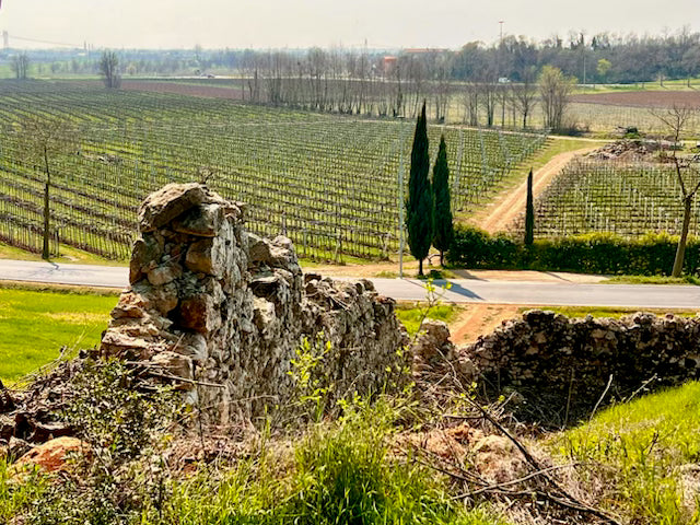La Pria - Calici in Barchessa Veneto La Pria