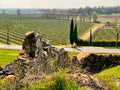 La Pria - Calici in Barchessa Veneto La Pria
