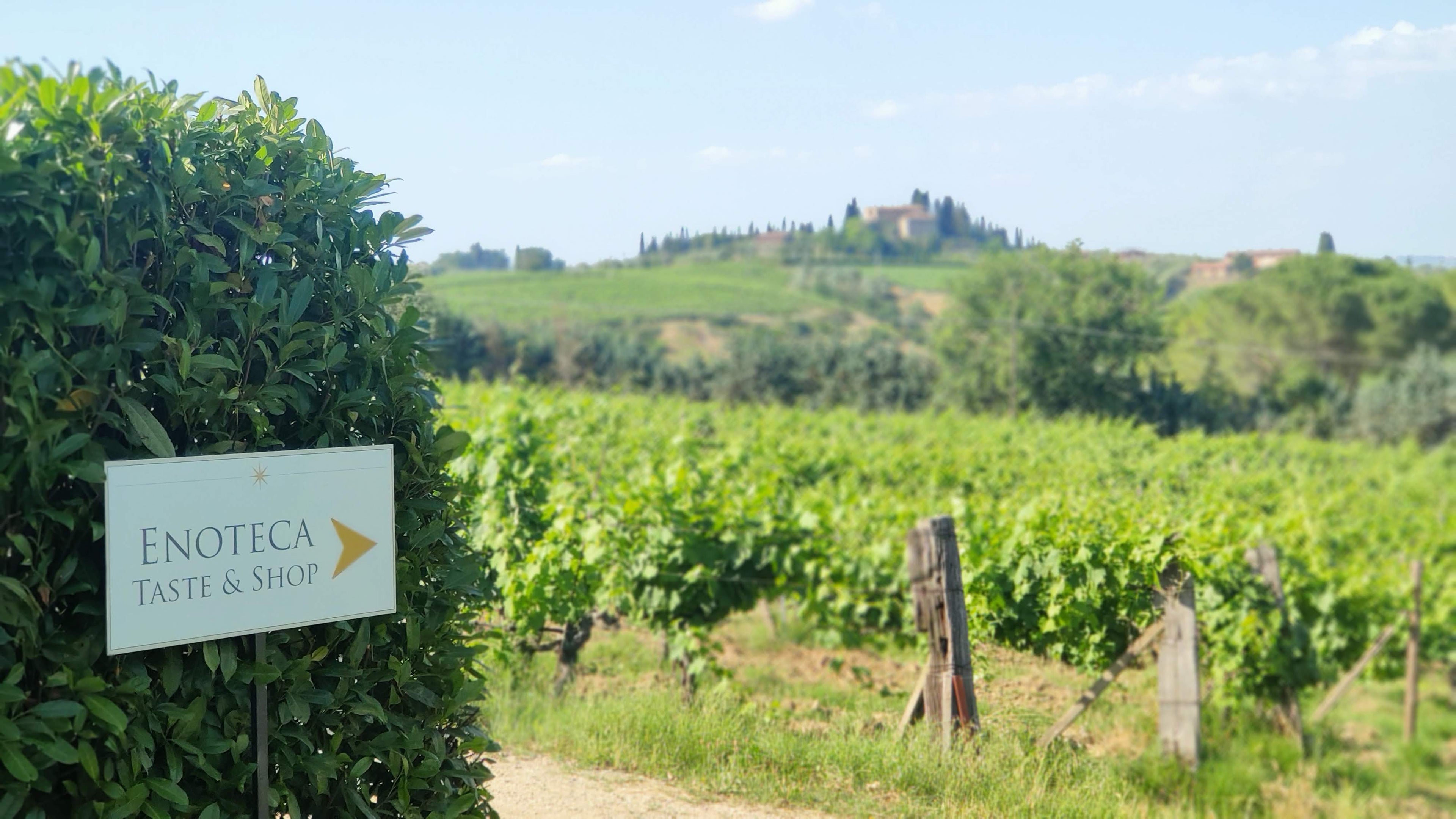 Tenuta Guardastelle - Mini wine tour Toscana Tenuta Guardastelle