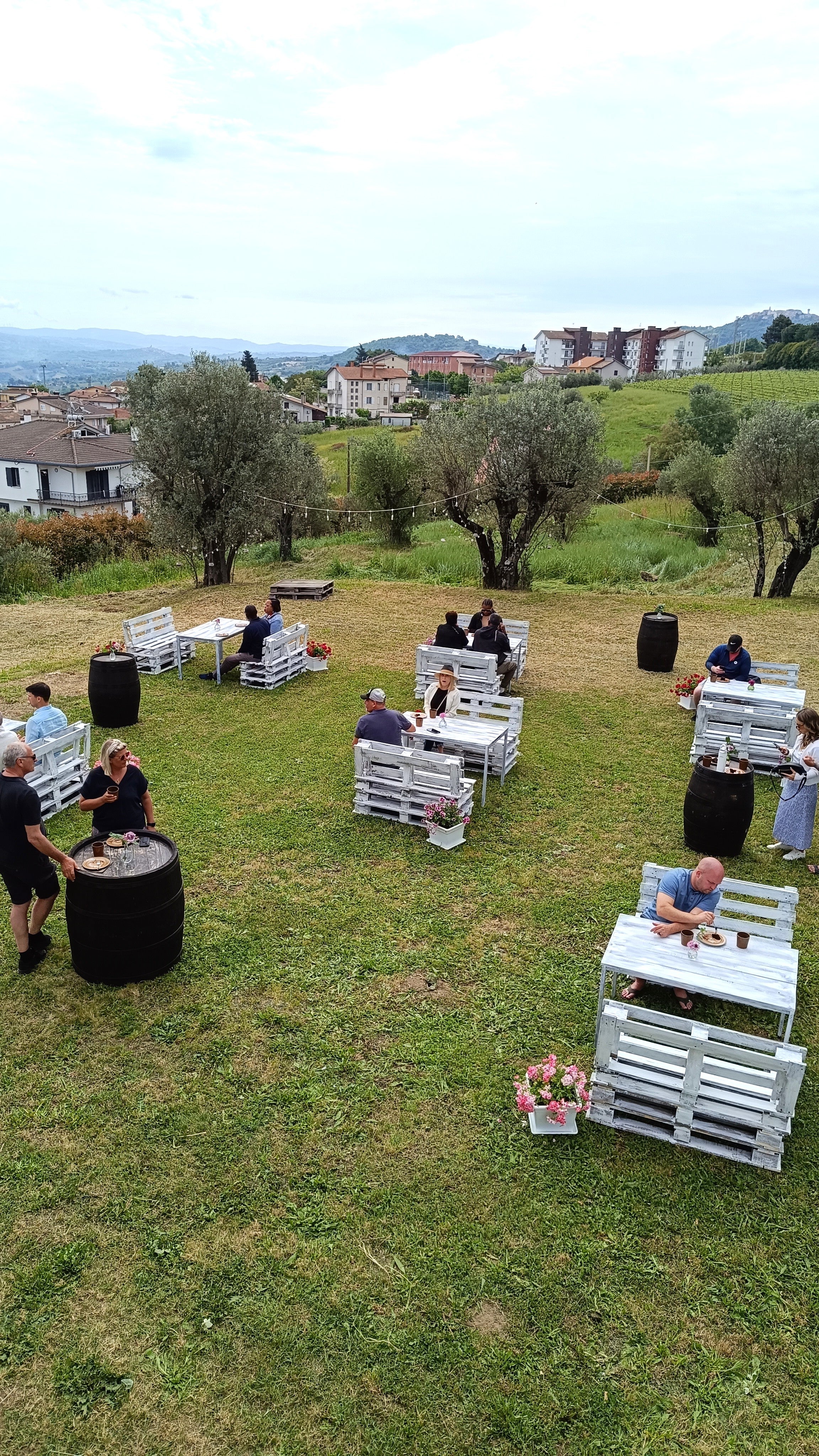 PETRILLO - Pranzo con Degustazione Campania Petrillo