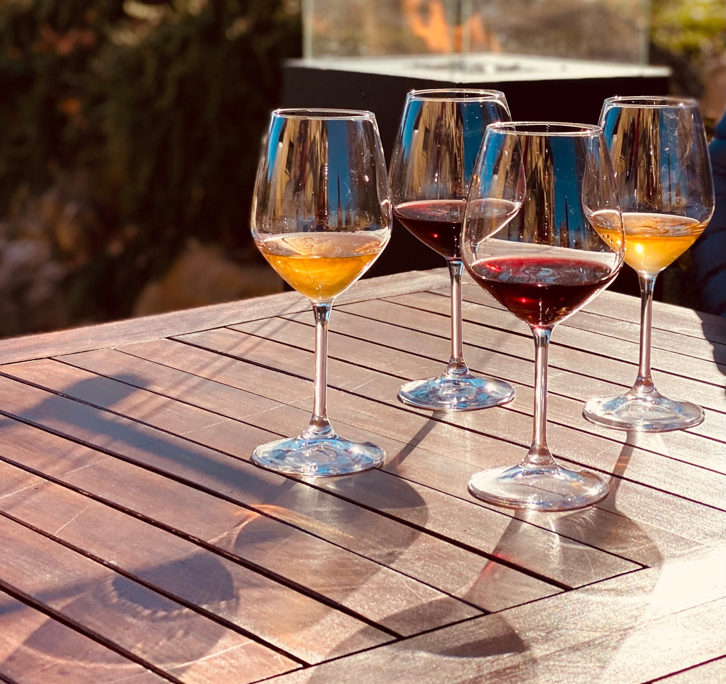 Fattoria La Maliosa - Degustazione e visita della Fattoria Toscana Fattoria La Maliosa