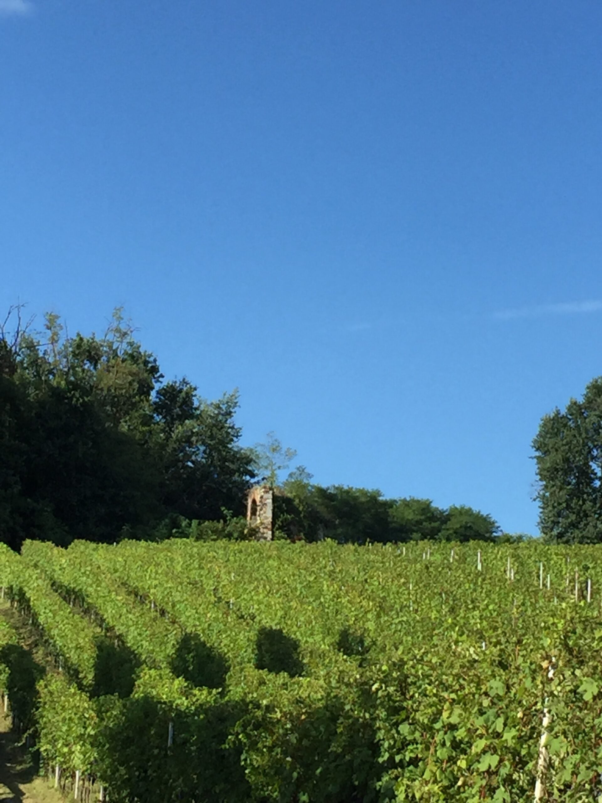 Ca' Nova - Soggiorno e Degustazione Piemonte Ca' Nova