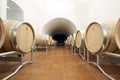 Elena Fucci - Discover Titolo World & Old Vintage Basilicata Elena Fucci