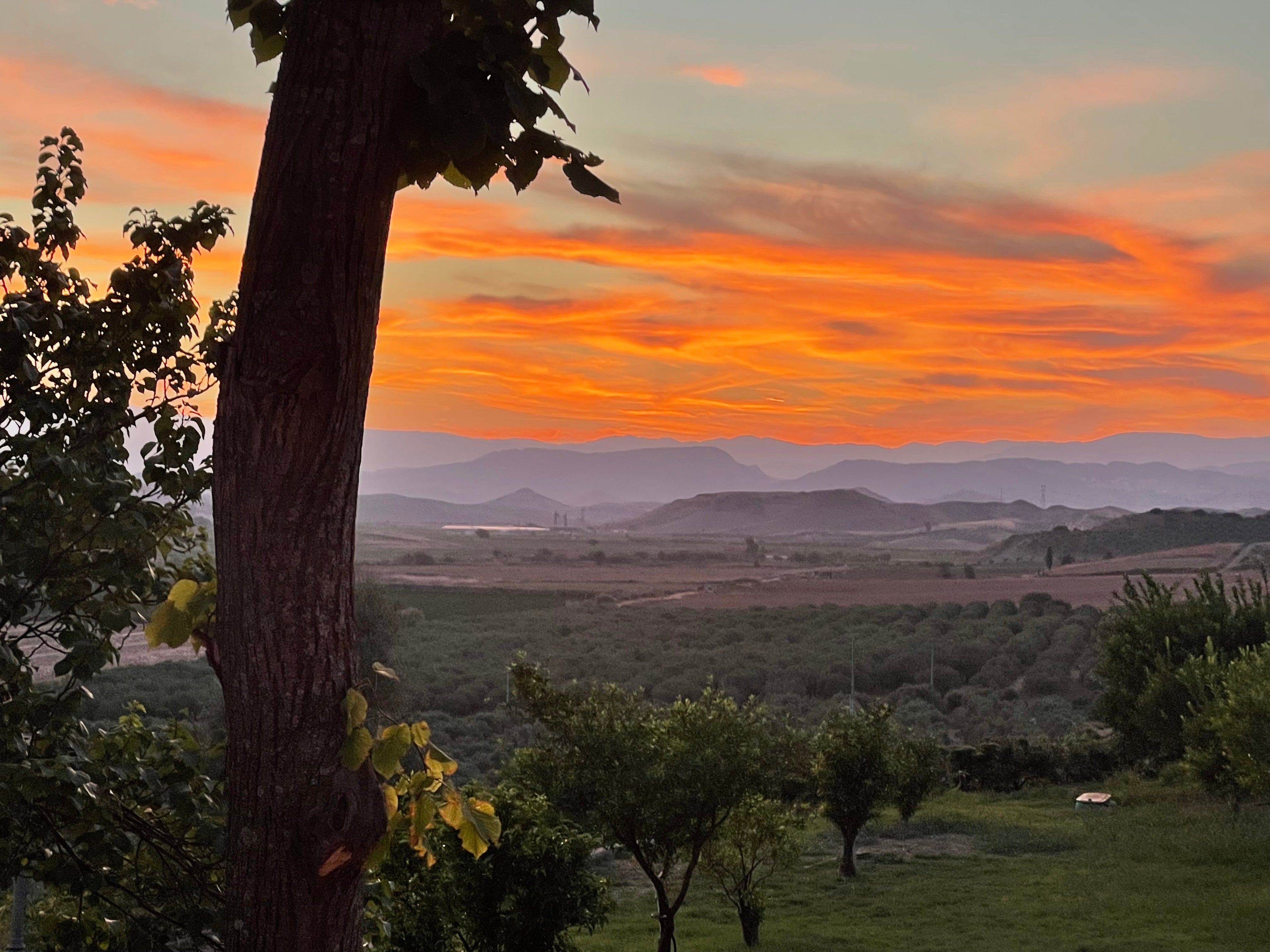 La Pizzuta del Principe - Cena con degustazione Calabria La Pizzuta del Principe