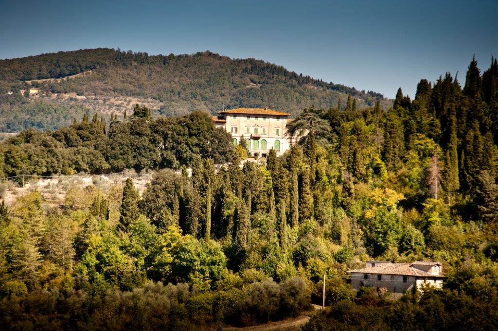 Tenuta Bossi - Le Cinque Sfu mature di Rossi Toscana Tenuta Bossi