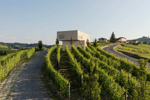 Astemia pentita - Degustazione di vino "Vertical Barolo" Piemonte Astemia pentita