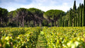 La Madonnina - Degustazione Toscana La Madonnina