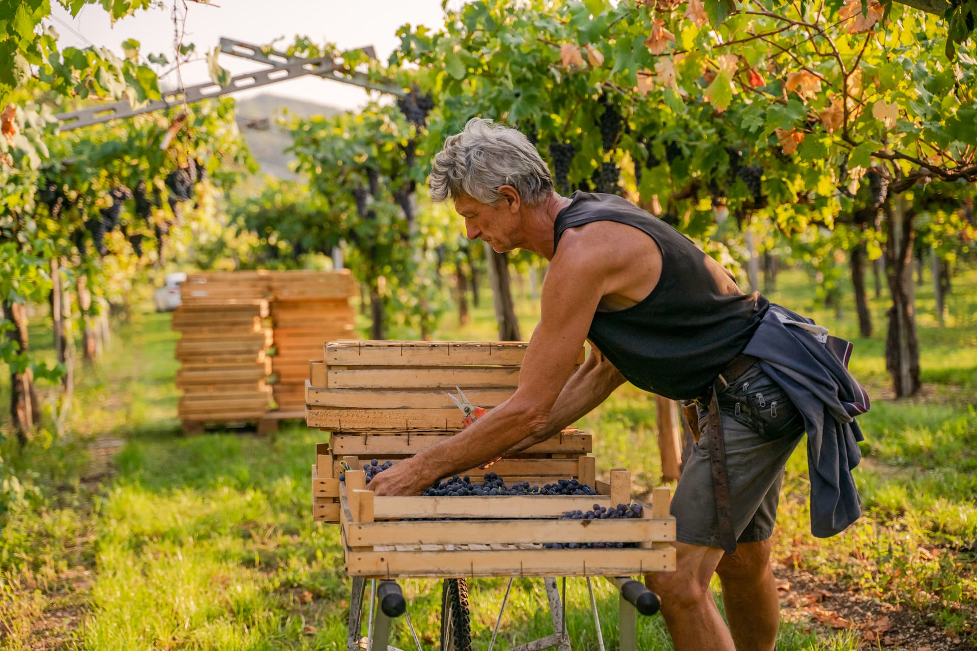 Le Bignele - Relax in Valpolicella Veneto Le Bignele