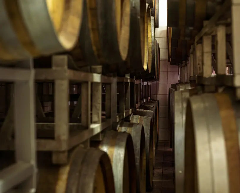 Arrigoni 1913 - Degustazione 5 Vini Toscana Arrigoni 1913