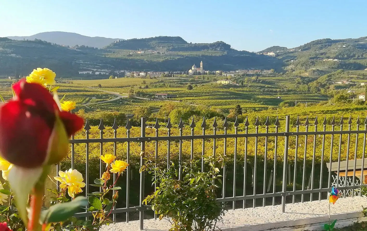 Le Bignele - Relax in Valpolicella Veneto Le Bignele