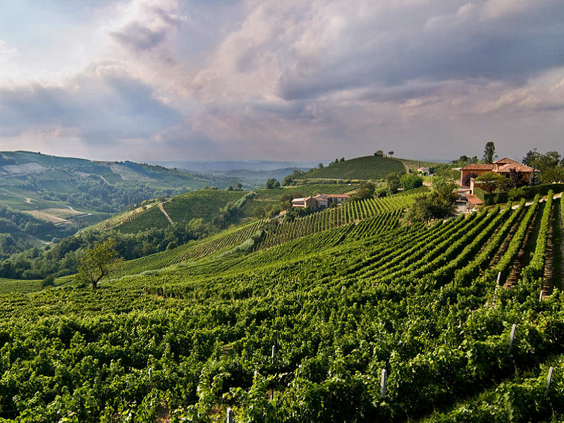 Soggiorno & Degustazione in Wine Resort in Italia Wineries Experience