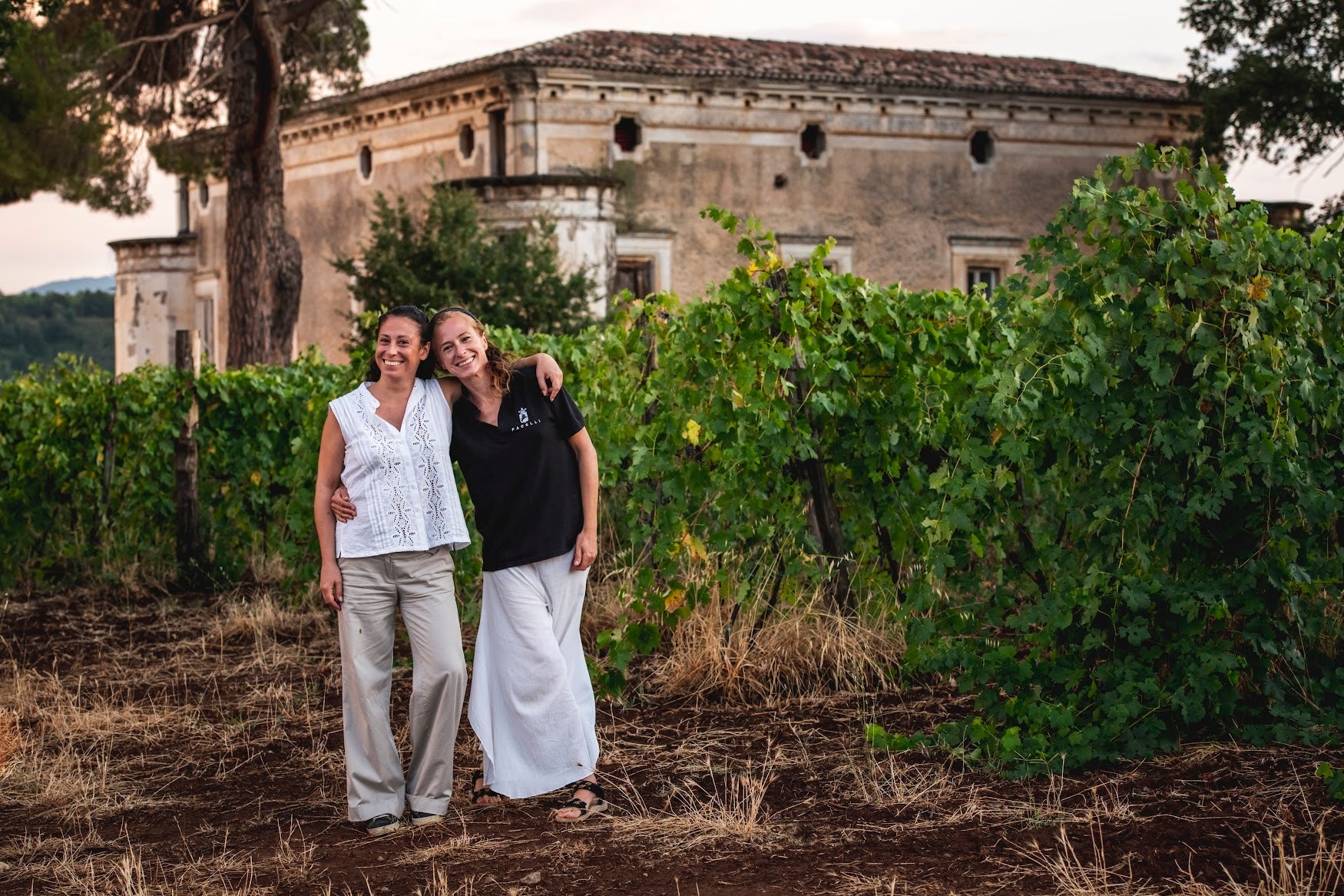 Tenuta Pacelli - Pranzo in vigna & Degustazione Calabria Tenuta Pacelli