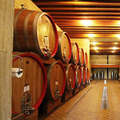 Paolo Bea - Degustazione Umbria Paolo Bea