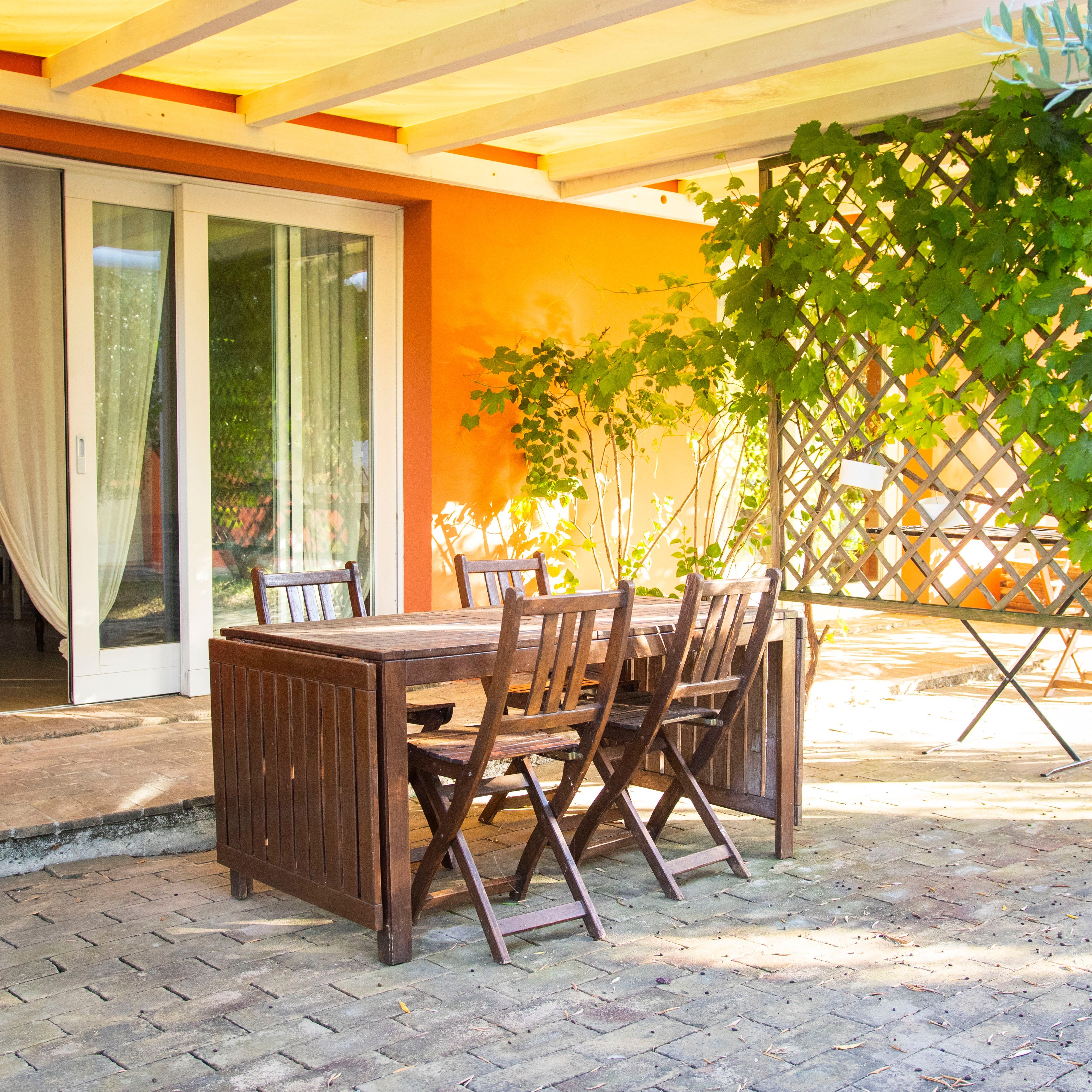 Tenuta San Marcello - “Visita Libera con il Vignaiolo” Marche Tenuta San Marcello