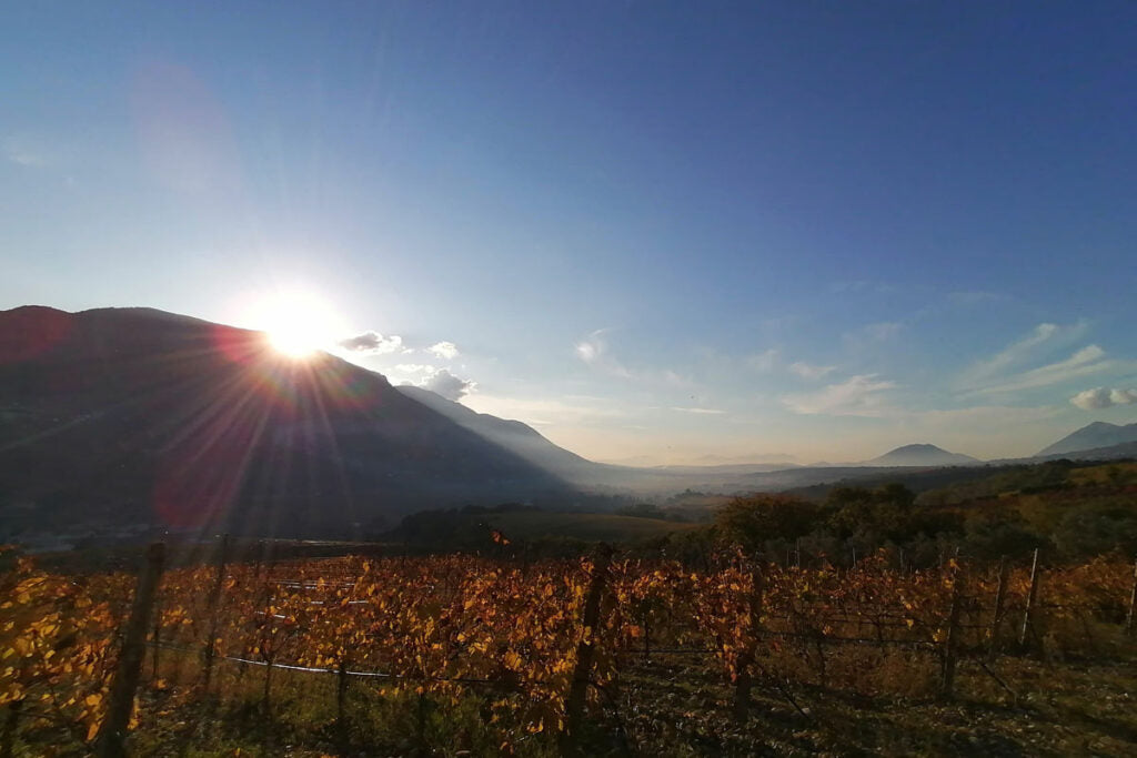 Pietreionne - Soggiorno & Degustazione Campania Pietreionne
