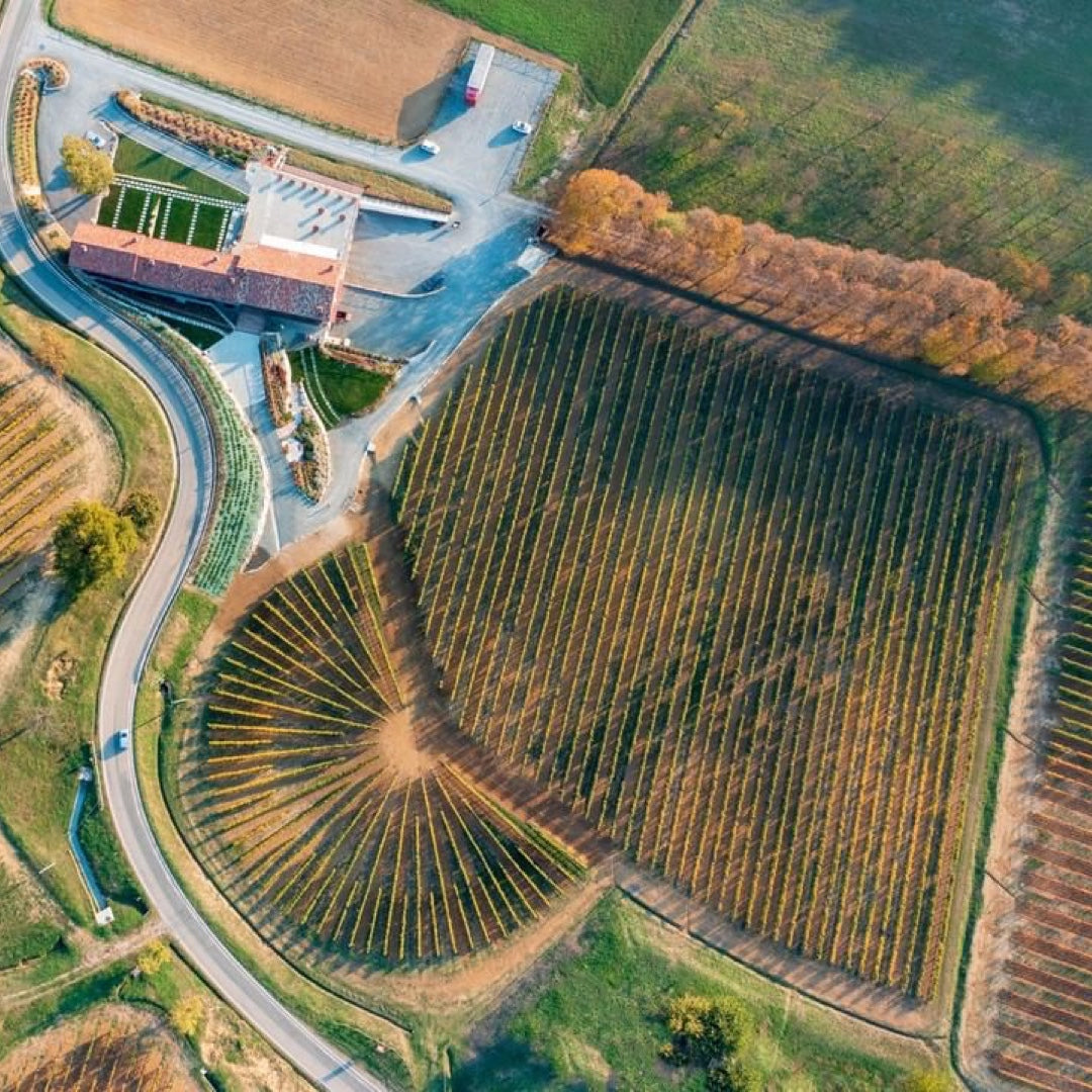 Cascina Binè - Soggiorno & Cena in Cantina Piemonte Cascina Binè