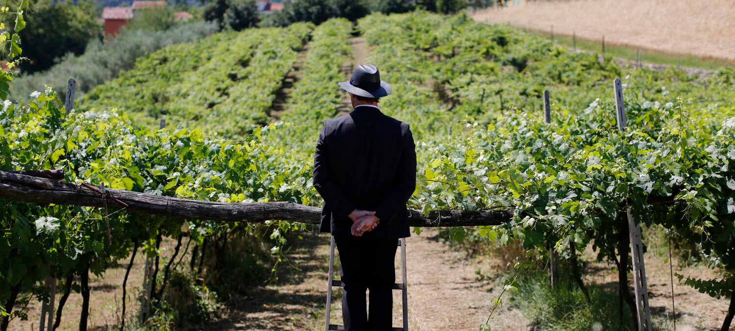 Tenuta L'Armonia - Degustazione Conosci L'Armonia Veneto Tenuta L'Armonia