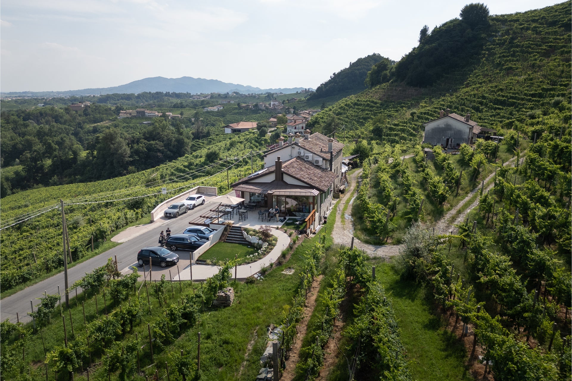 Rebuli - Degustazione e Visita della cantina Veneto Rebulli