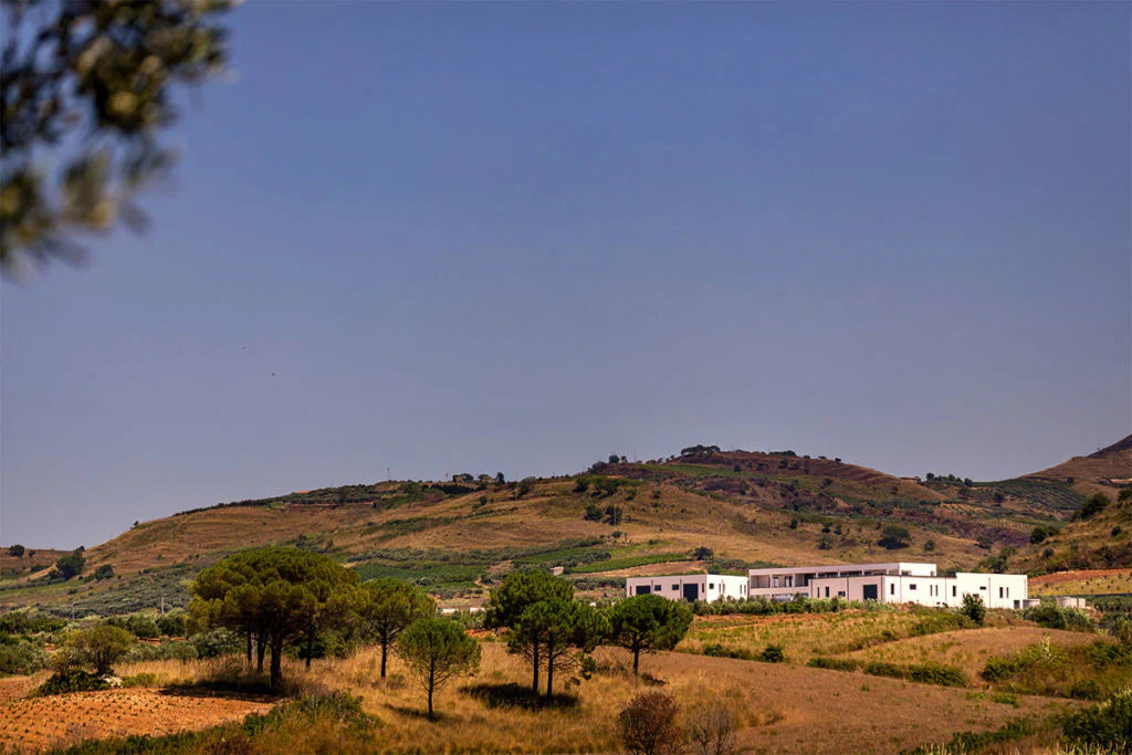Az.Vitivinicola Tola - Degustazione premium Sicilia Az.Vitivinicola Tola