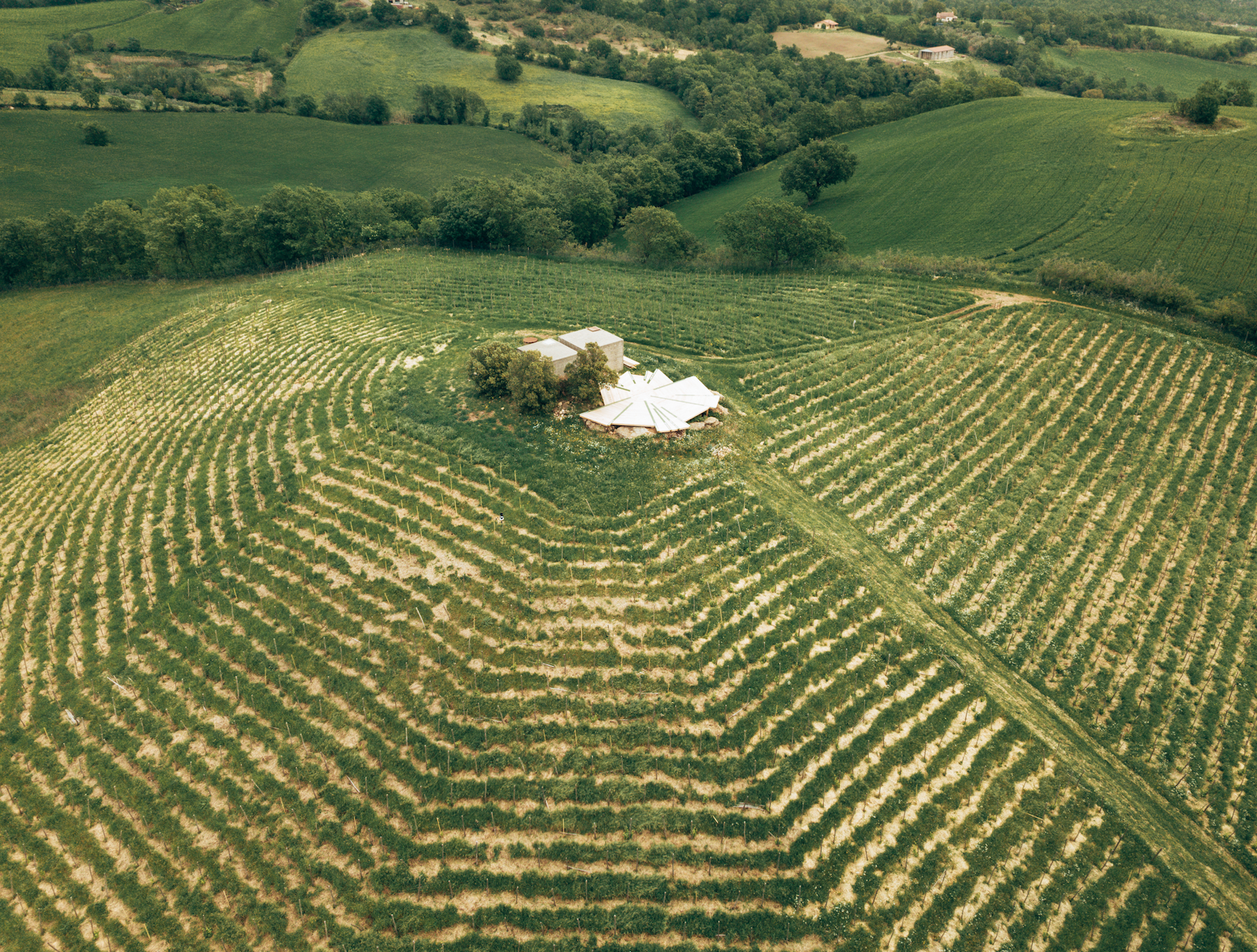 Fattoria La Maliosa - Picnic su Skydeck con vista a 360° Toscana Fattoria La Maliosa