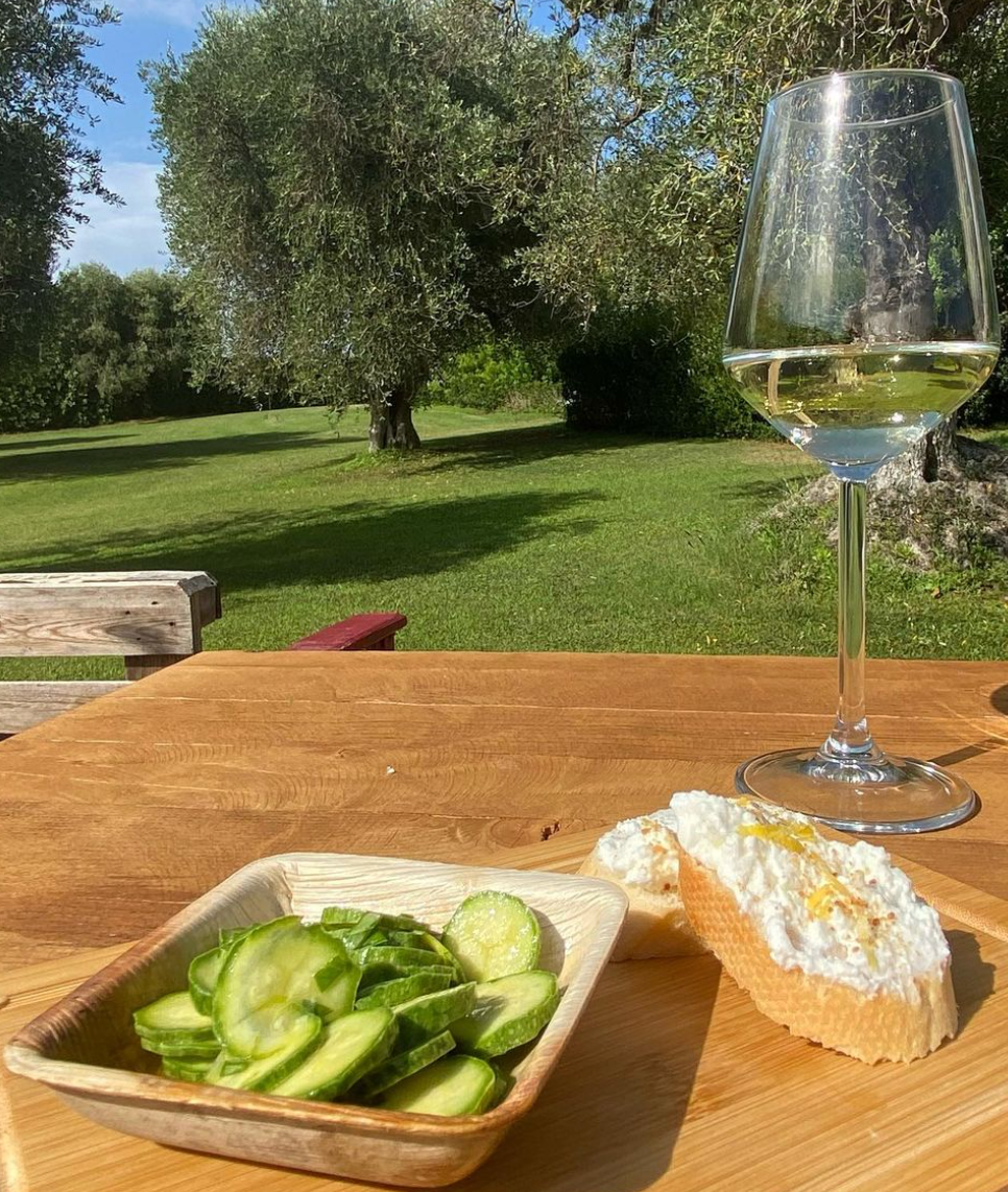 Tenuta Il Ponte - Degustazione 5 calici Toscana Tenuta Il Ponte