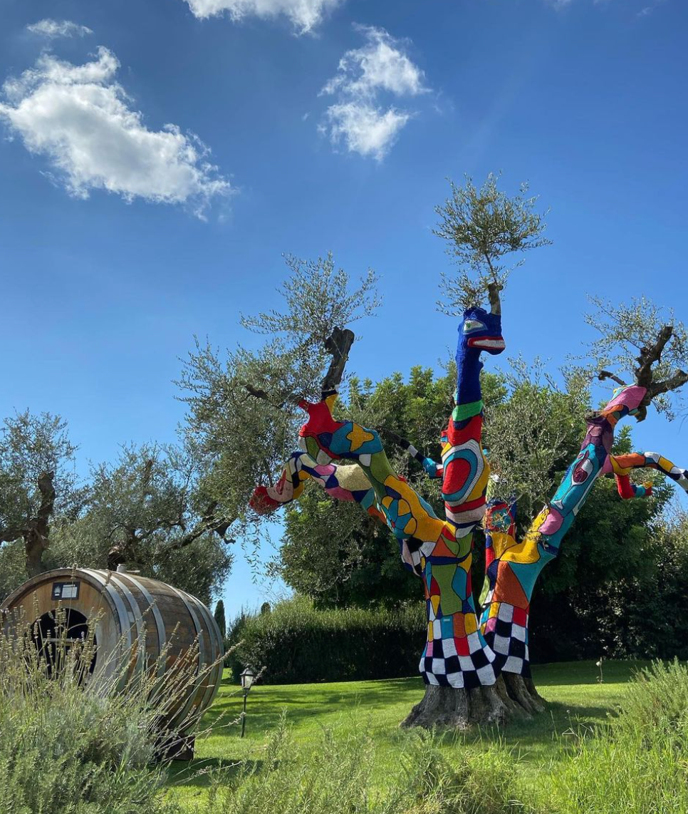 Tenuta Il Ponte - Degustazione 5 calici Toscana Tenuta Il Ponte