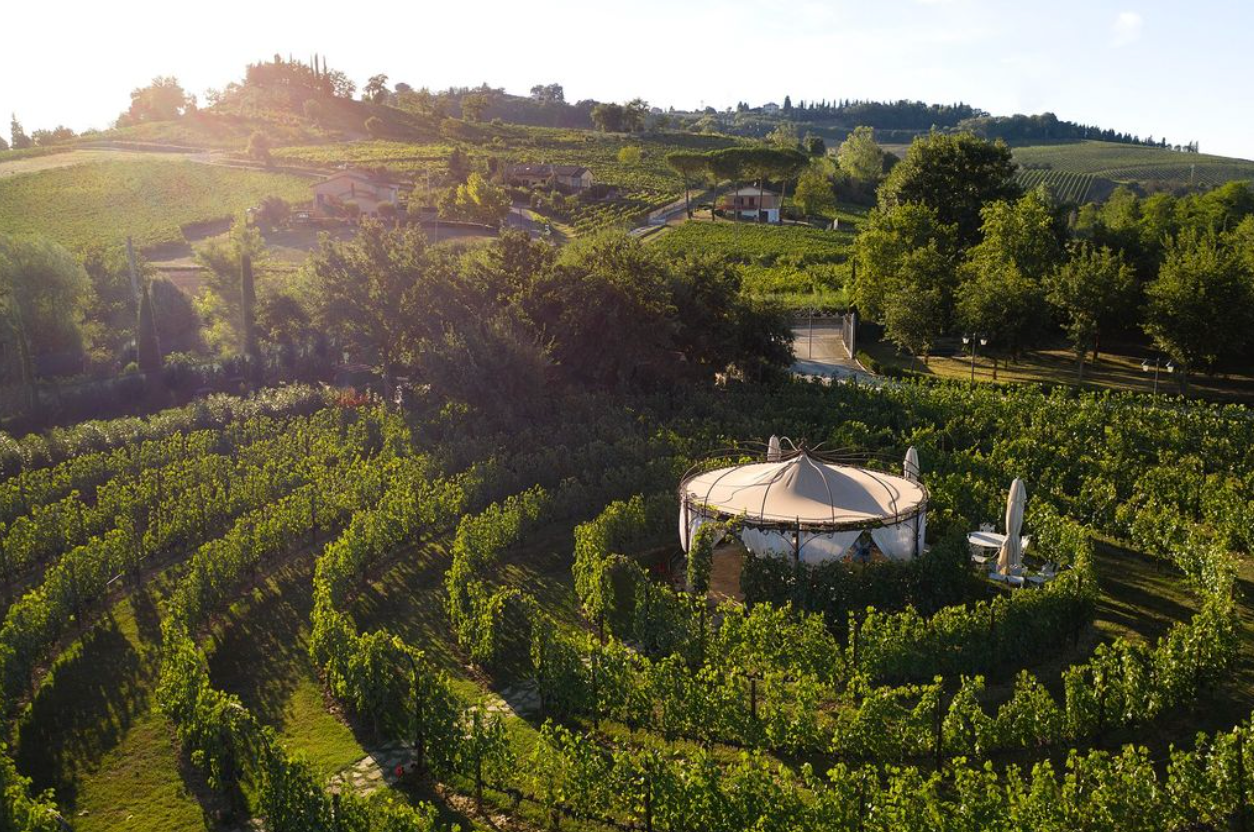 Torciano Winery - Pranzo toscano Toscana Torciano Winery