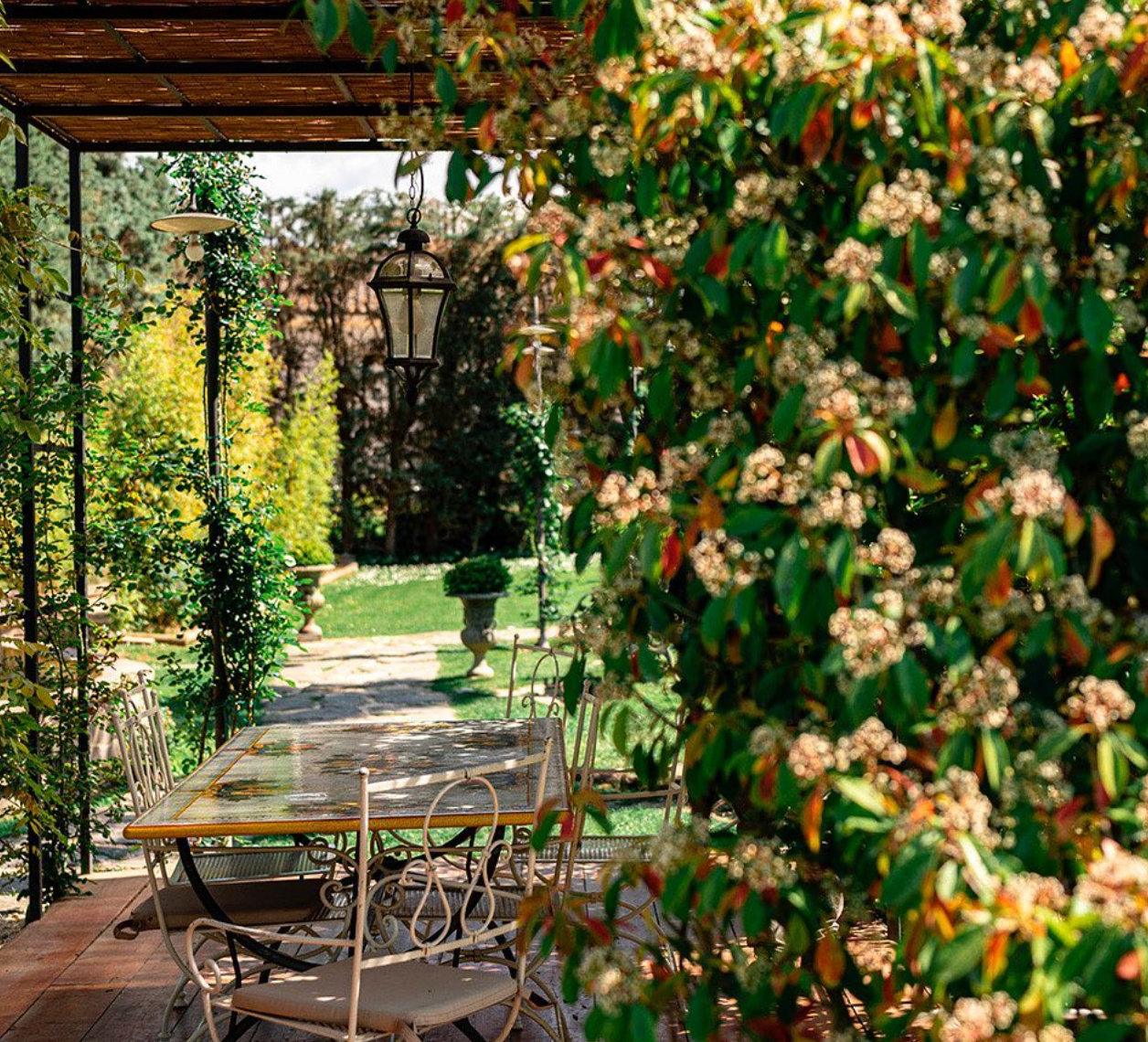 Torciano Winery - Pranzo toscano Toscana Torciano Winery