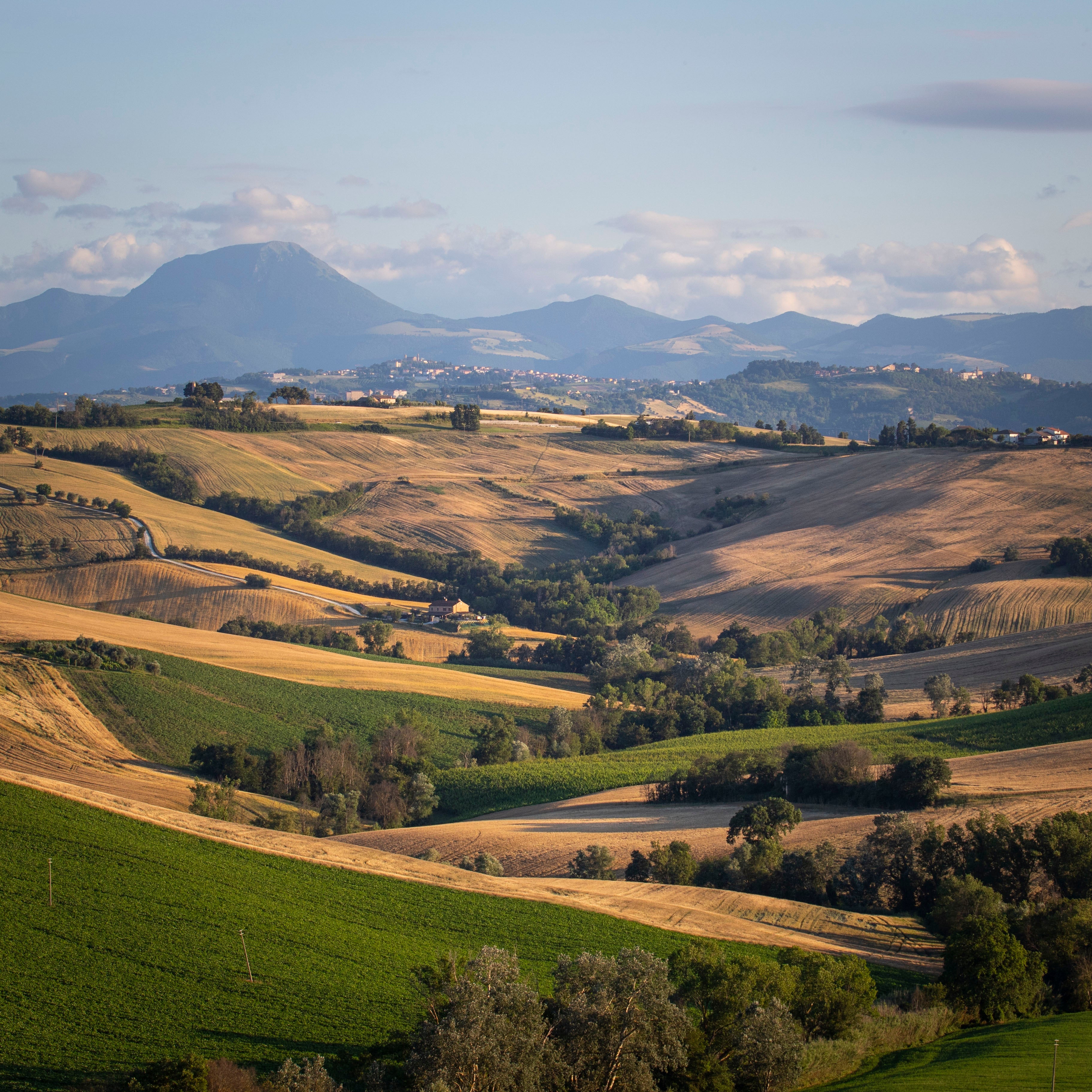 Tenuta San Marcello - “Ancora tanta voglia di conoscere” Marche Tenuta San Marcello